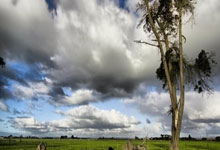 PG电子试玩-绿茵烽火燃欧陆！欧洲杯赛场谱写英雄史诗