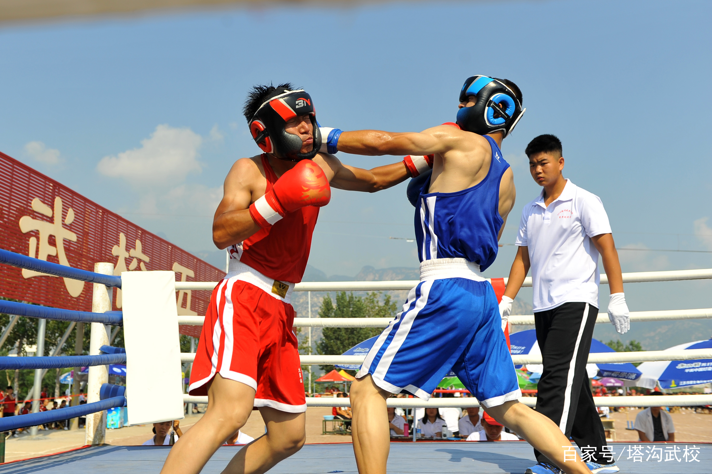 体育竞技的魅力:激烈赛场上的搏击